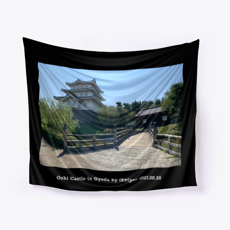 Oshi Castle in Gyoda