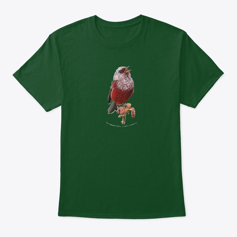 Singing Pink-headed Warbler