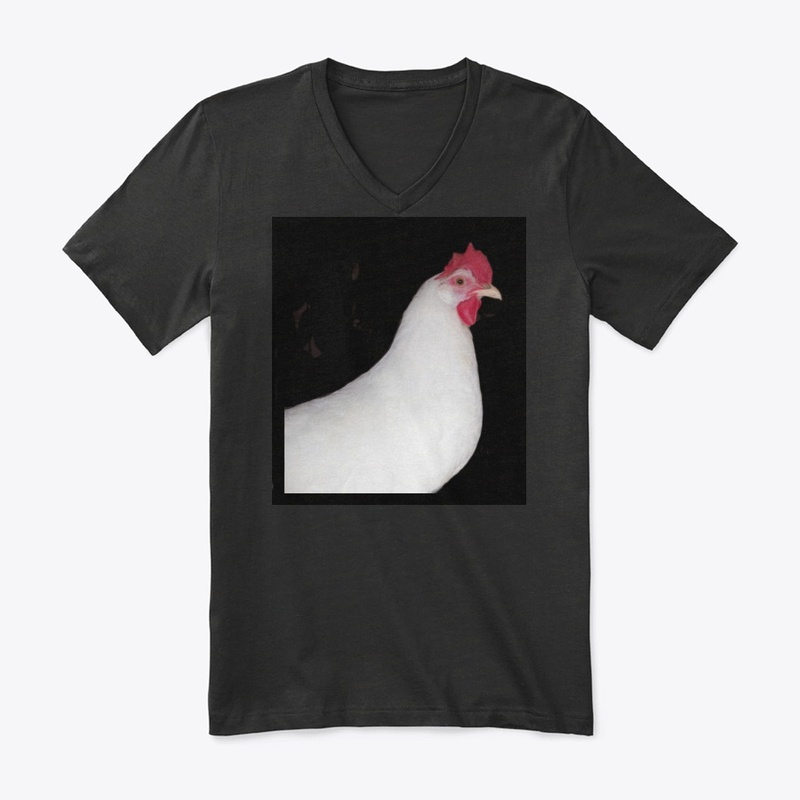 white leghorn hen chicken farm animal