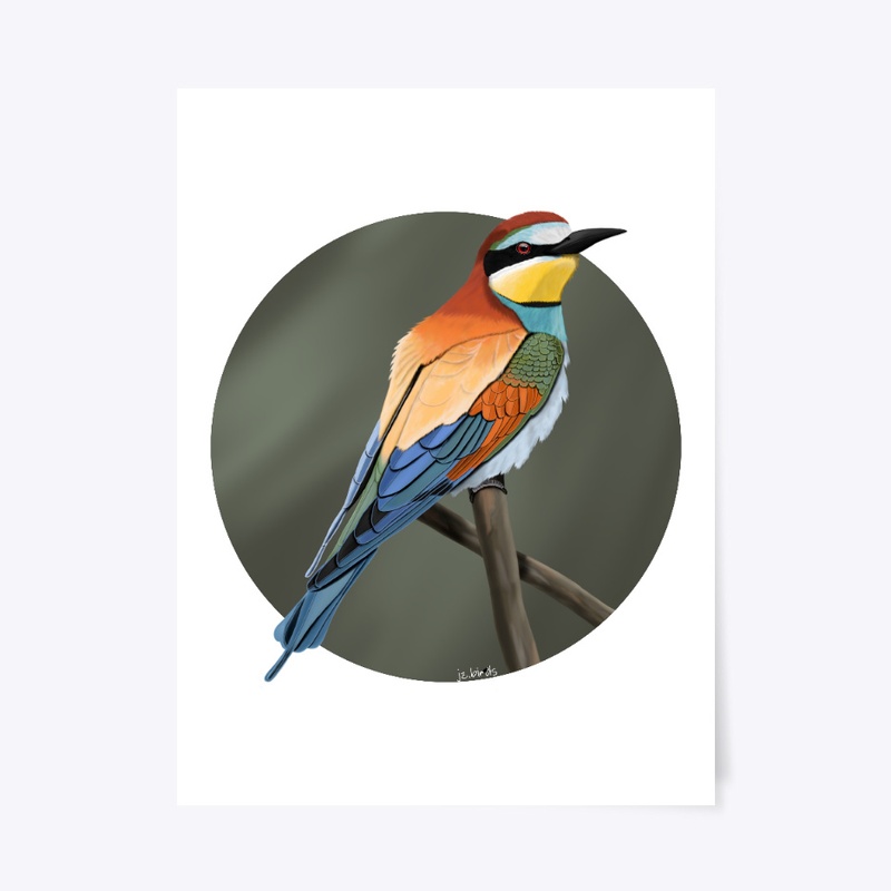 jz.birds Bee-Eater Bird Illustration