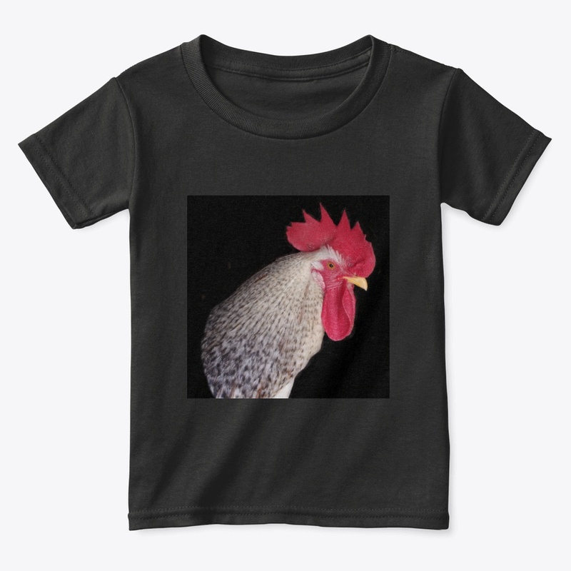 rooster2