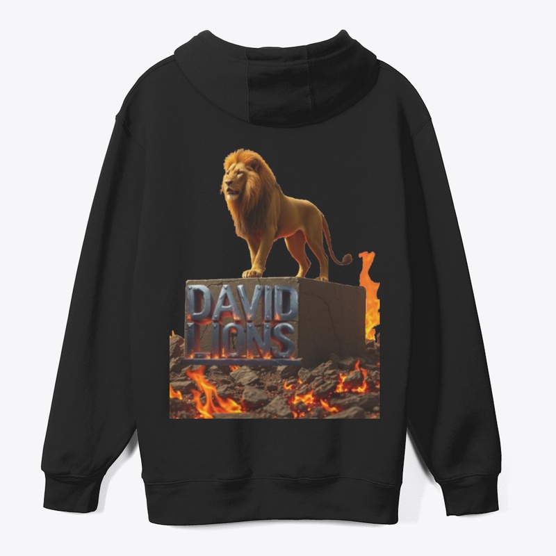 David Lions
