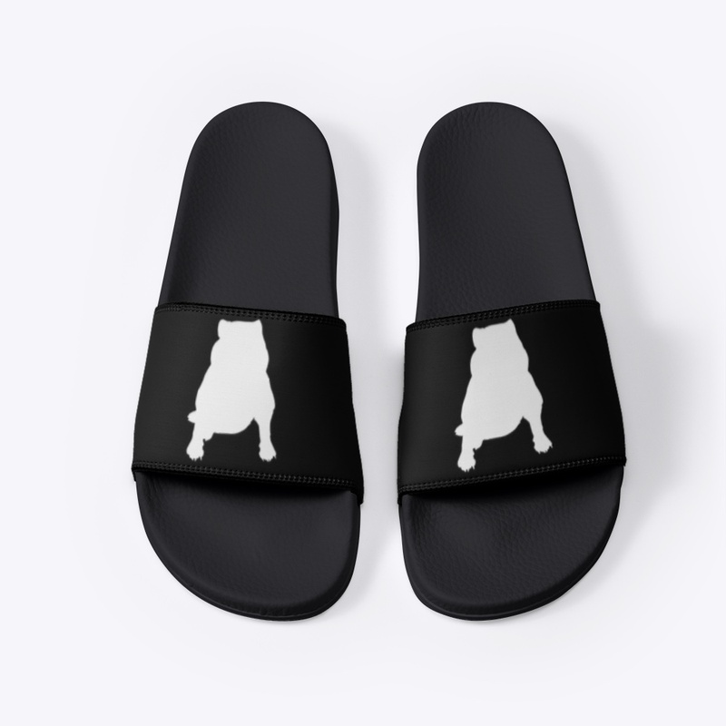 Otis Slides