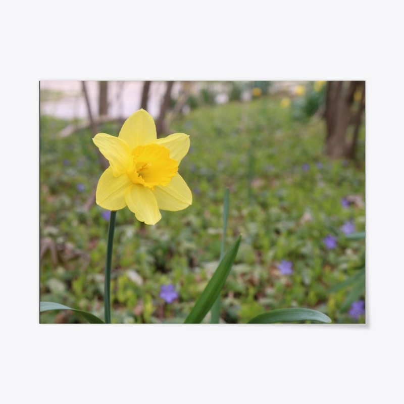 Flower 13
