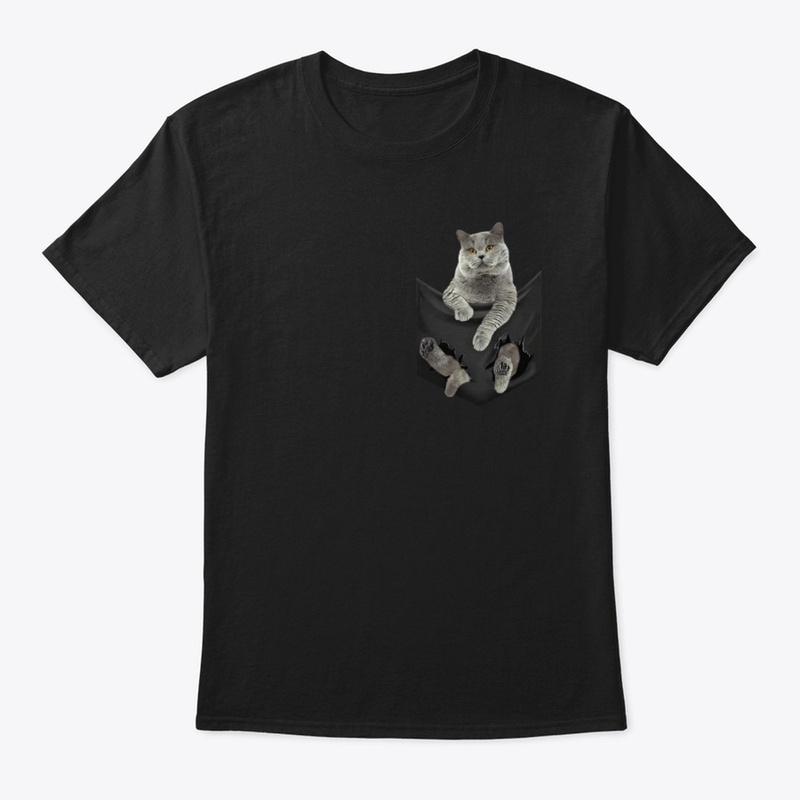 British Shorthair Cat In Pocket