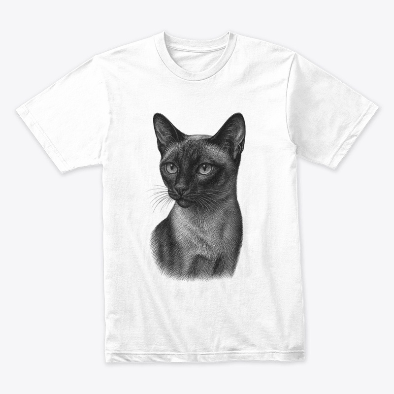 Chic Siamese Cat for Cat-Loving Girls