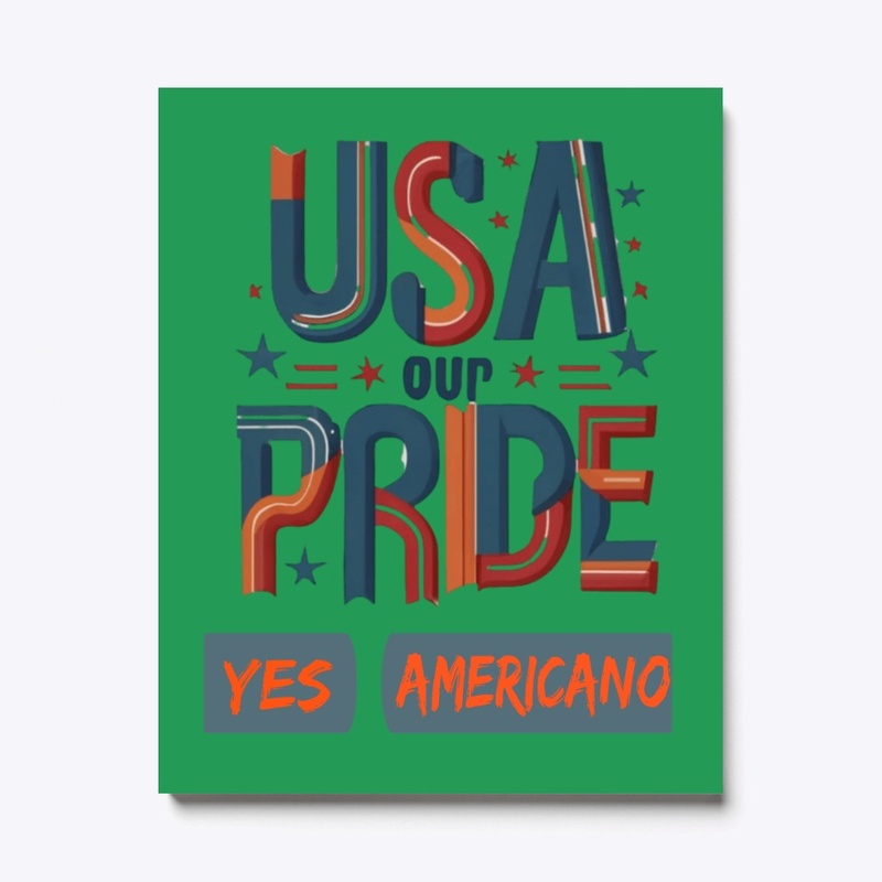 USA Our Pride T-shirt