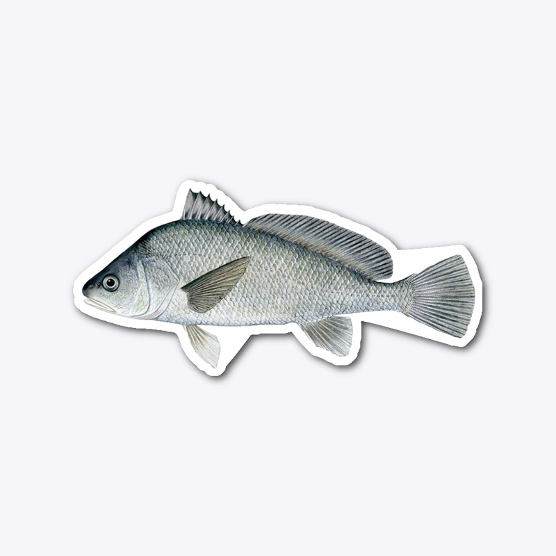 Freshwater Drum sticker