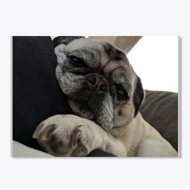 Pug sweatshirts, pug iPhone cases,pug pi