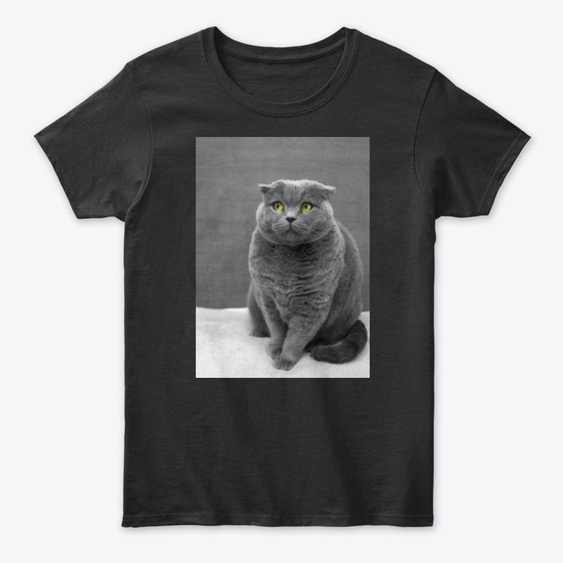I LOVE MY CAT