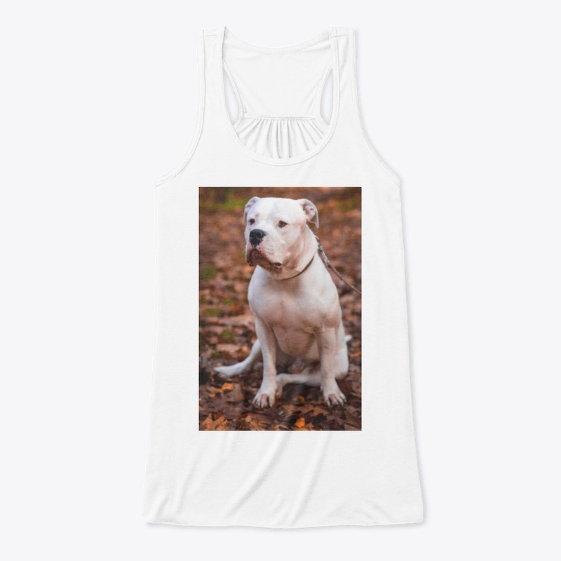 Dog 🐕