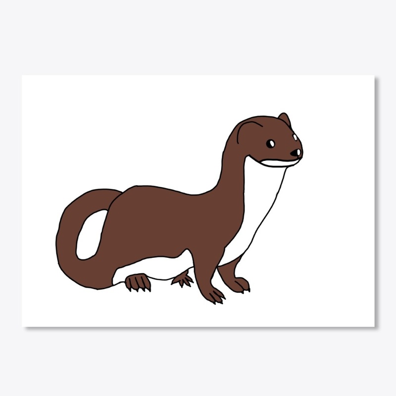 Ferret