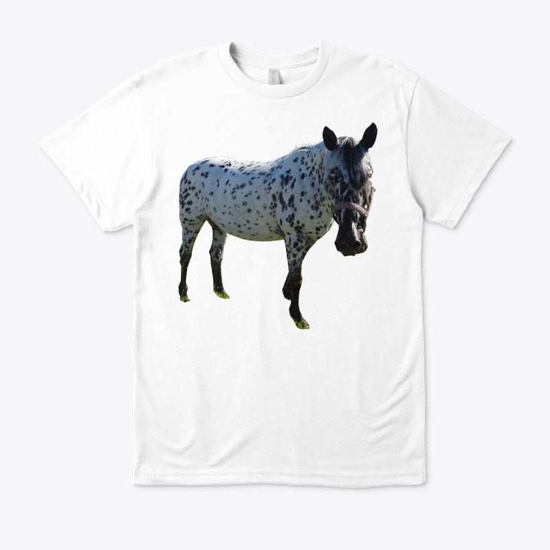 horse i love