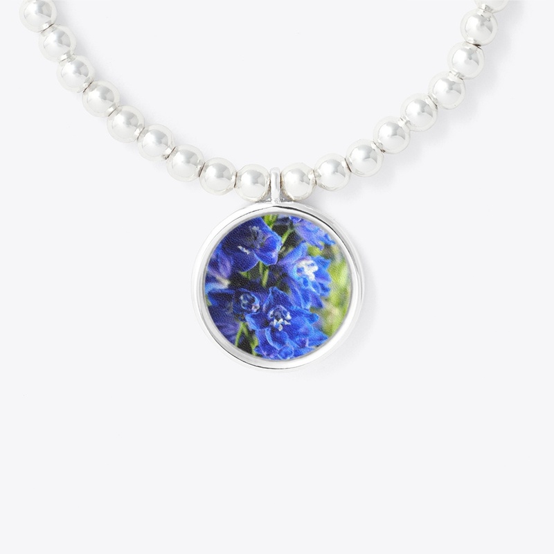Blue Delphinium