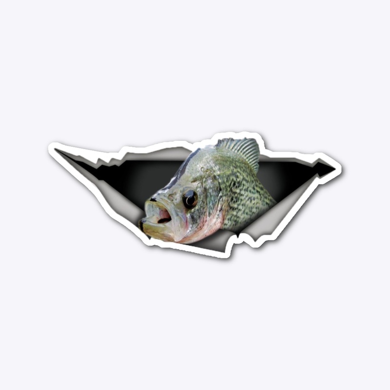 Crappie Sticker