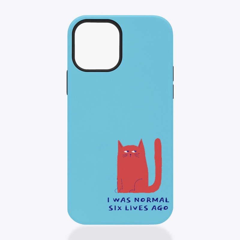 I was normal six lives ago, cat