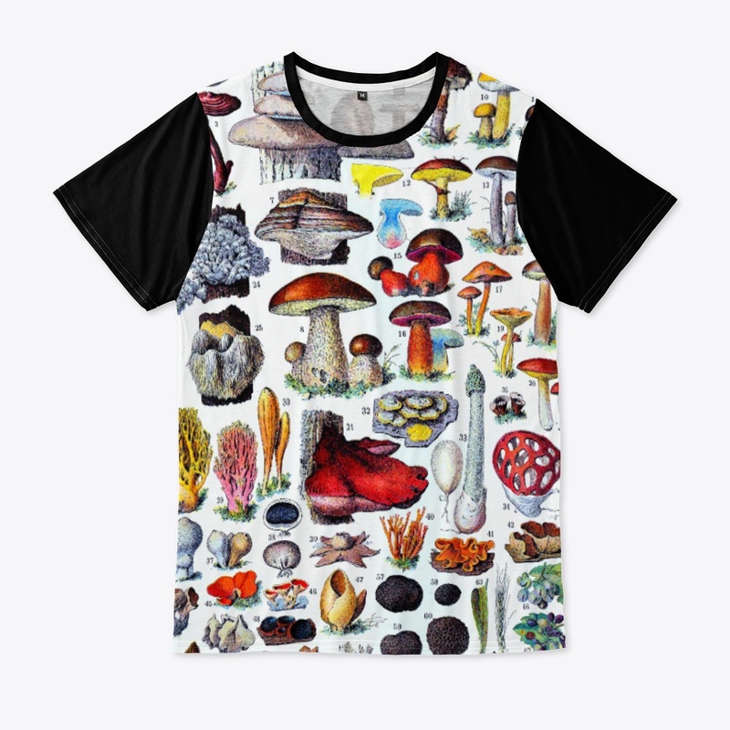 Fungi24