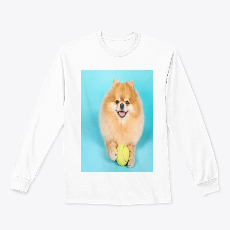 cute dog