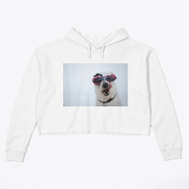 Dog desigh 