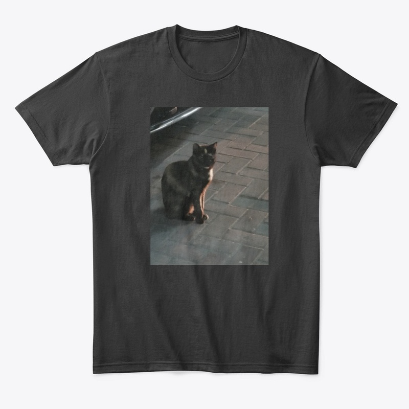 Cats lovers 2020