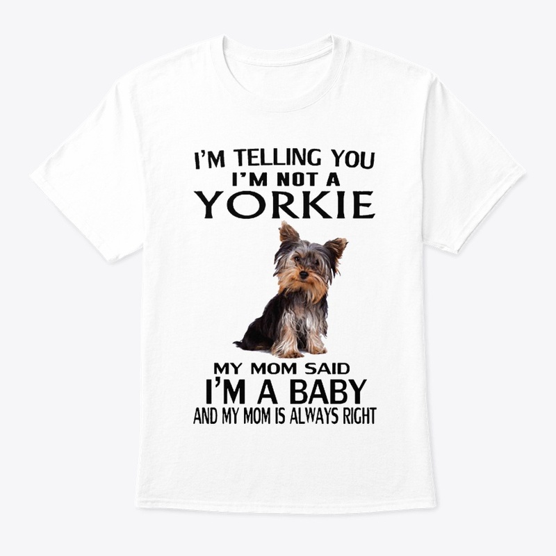 YORKIE BABY
