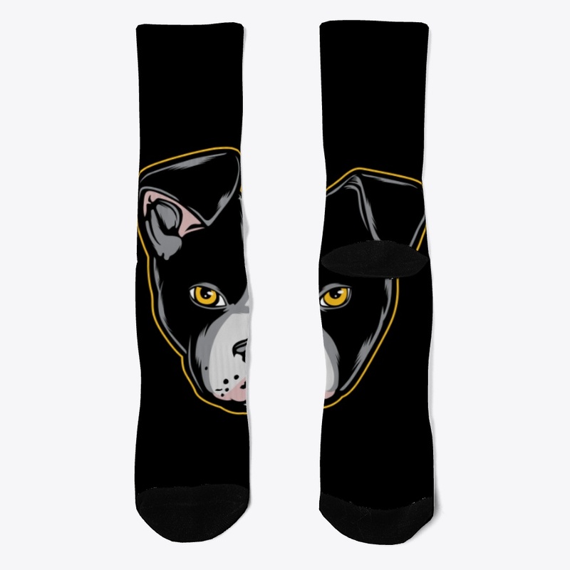 Boston Terrier