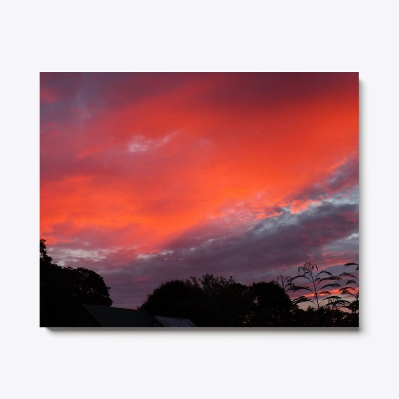 Pink Sunset