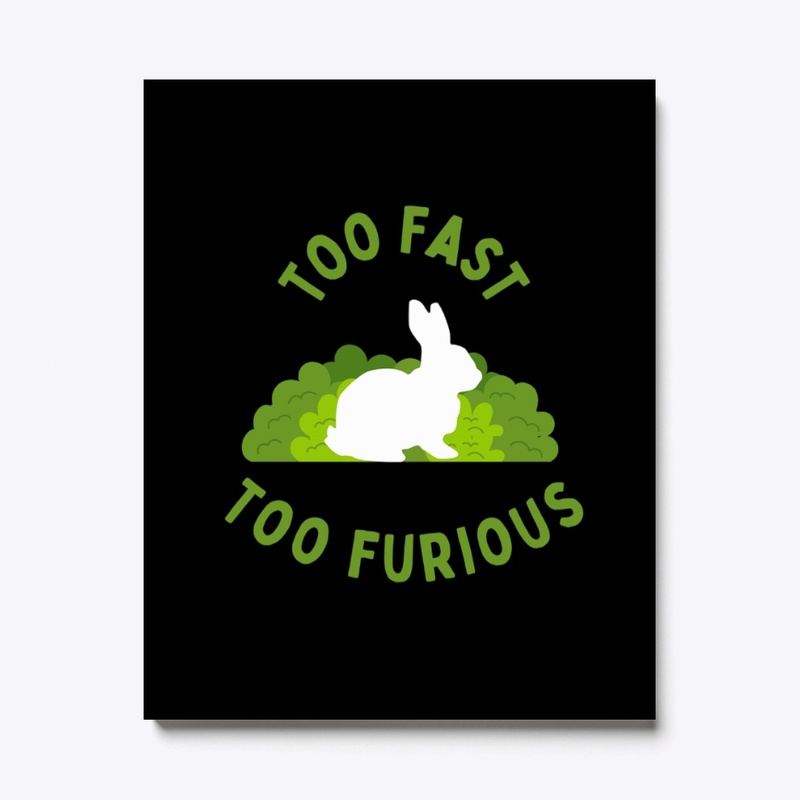 Cute rabbit Too Fast and Too Furious 
