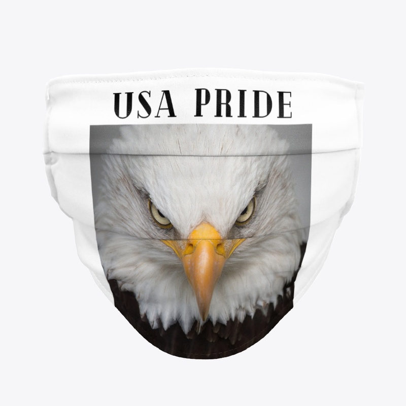 USA pride 2