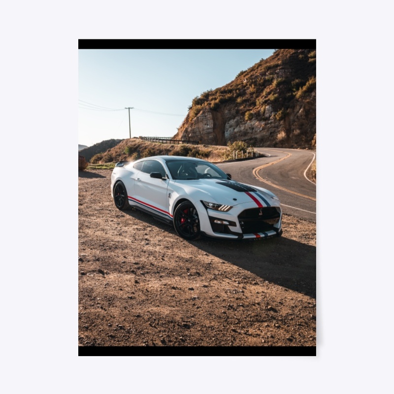 2020 Shelby GT500 Canyon Wall Art