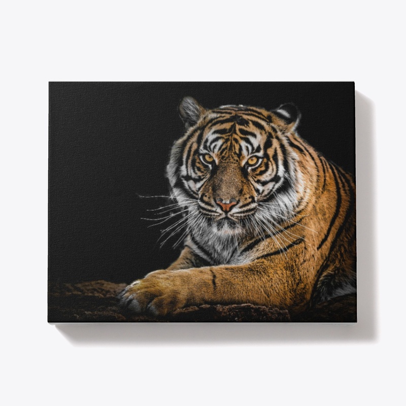 Tigers
