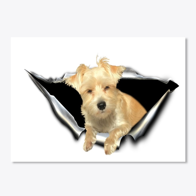 morkie 3D Car sticker