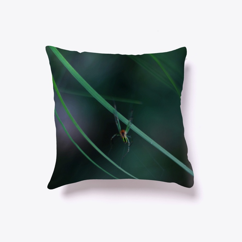 SpiderGreen