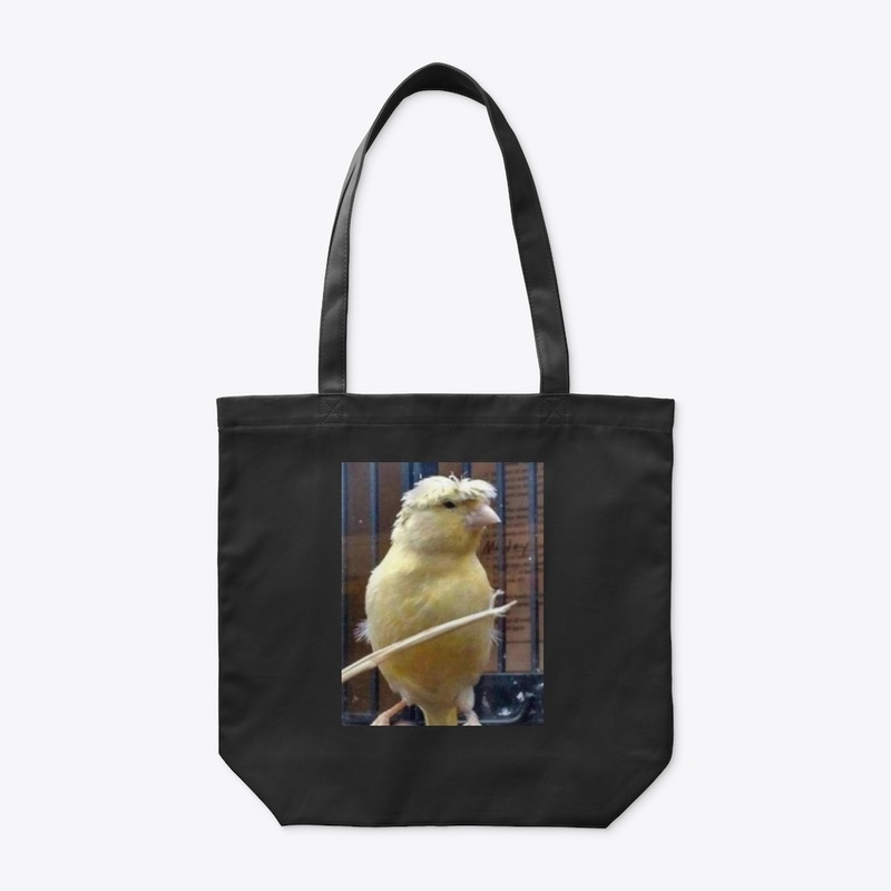 Birb w/ nice hair