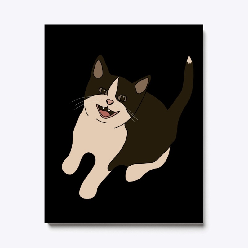 Spooky The Cat Home I