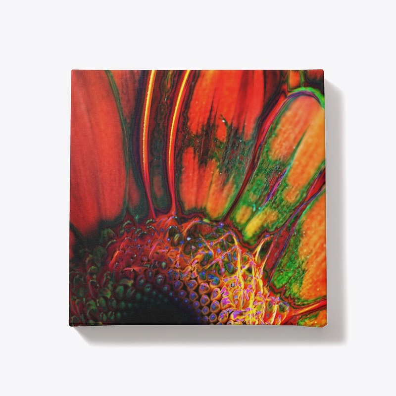 Abstract Orange Daisy