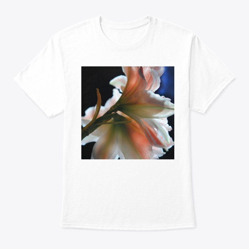 Amaryllis In The Light