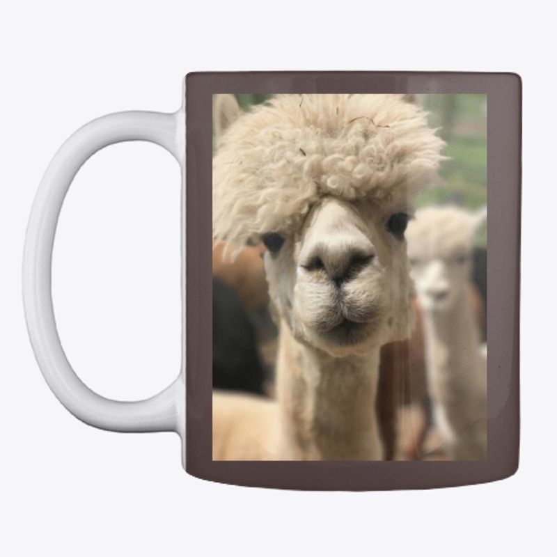 Llama momma