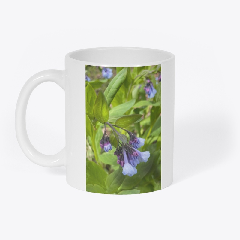 Blue and Purple Wildflowers