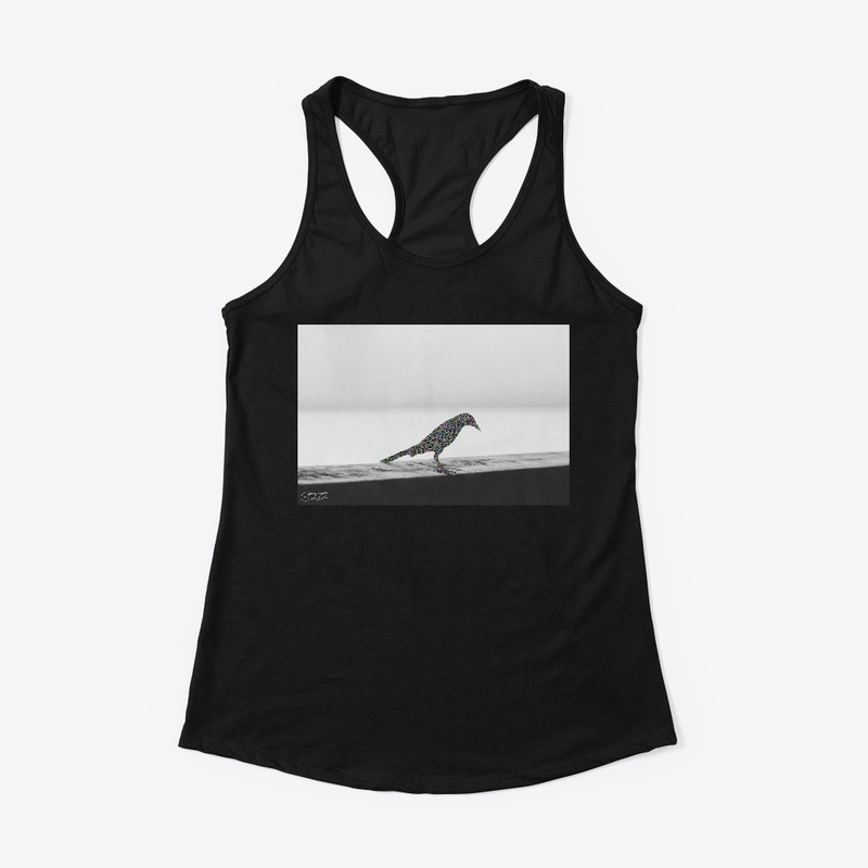 404: Bird Not Found