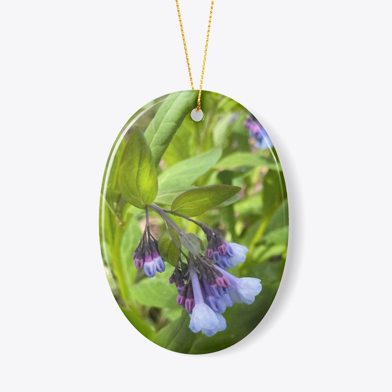 Blue and Purple Wildflowers