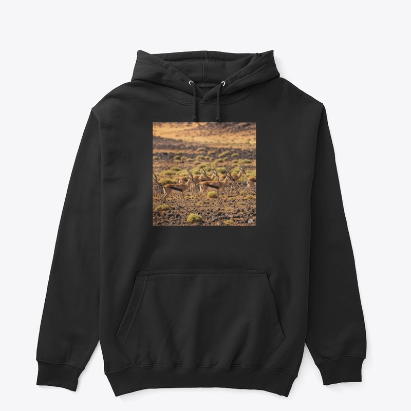 Eritreas Gazelles