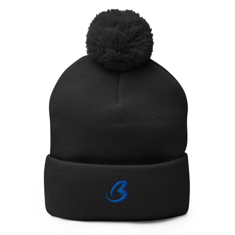 Bigboypalmershop Beenie logo 