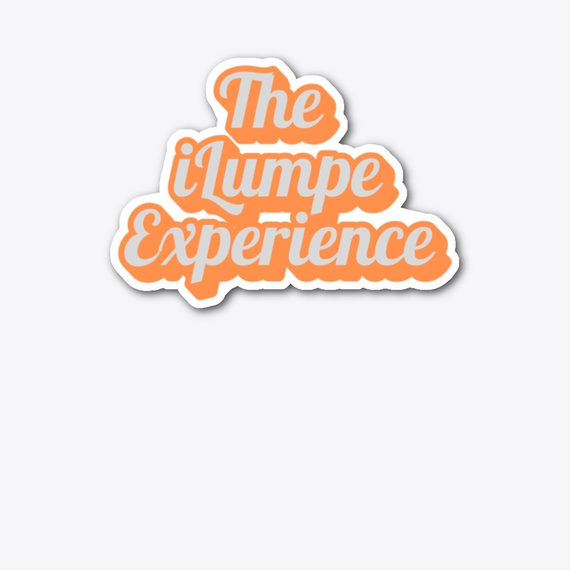 The Experience