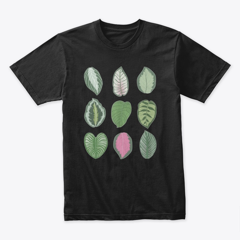 Calathea Leaf Art