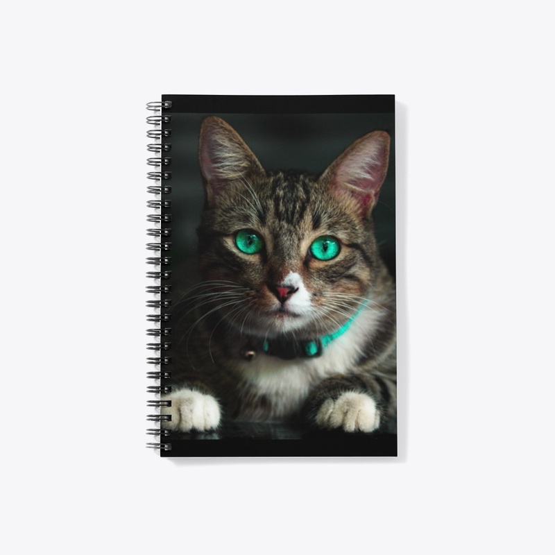 Cat's Eye 2