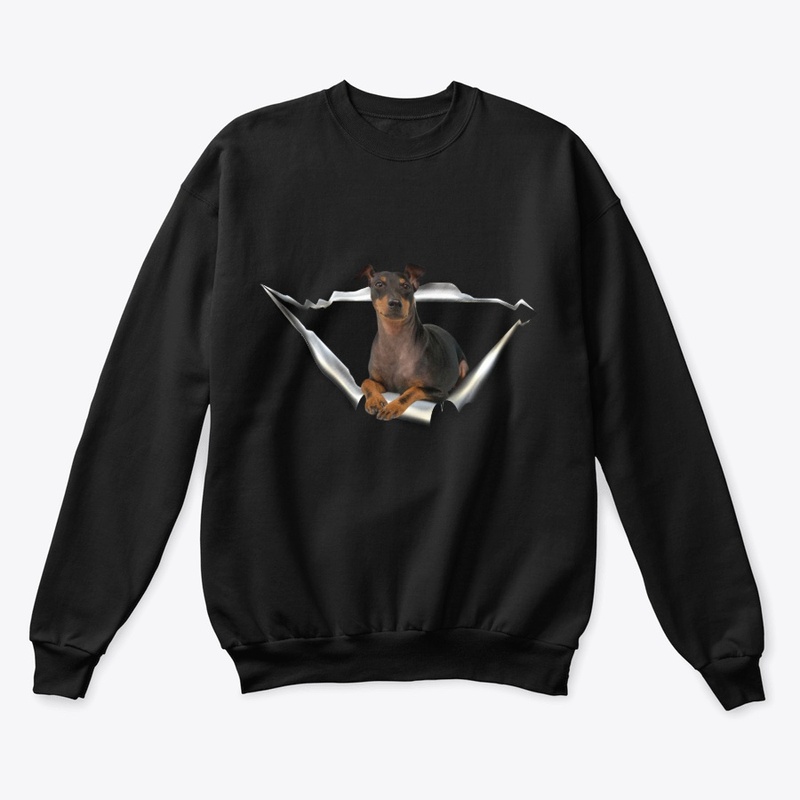 English Toy Terrier