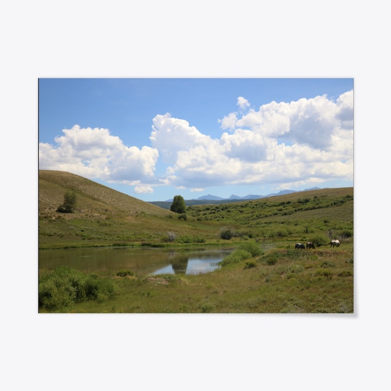 Colorado 16