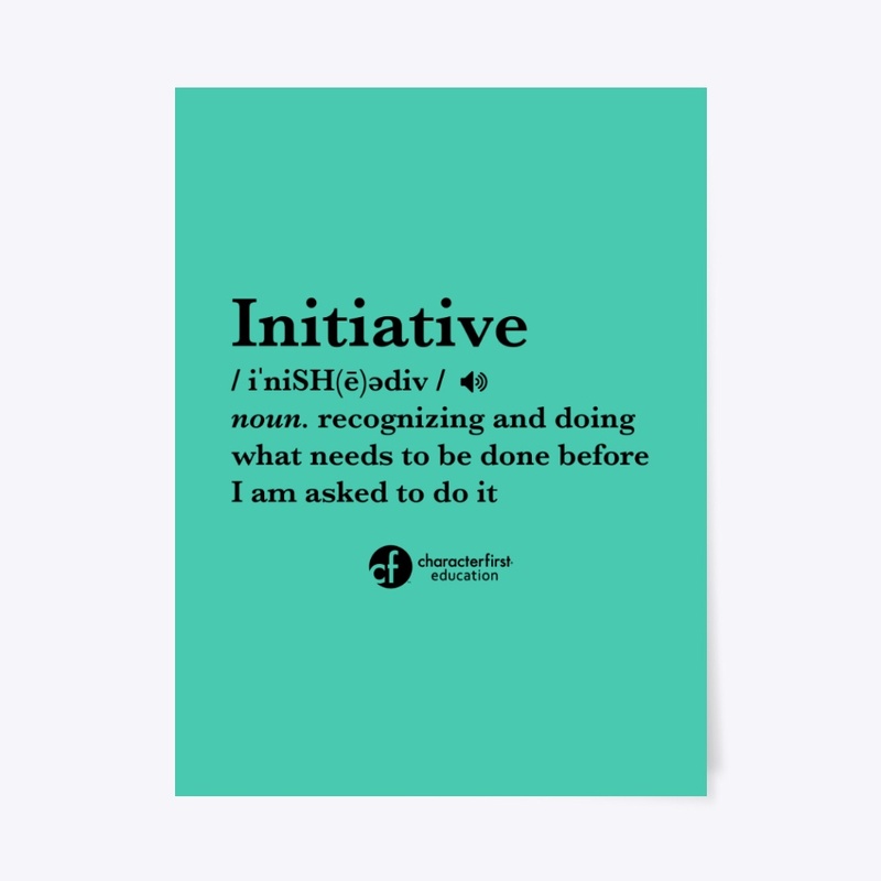Initiative Definition
