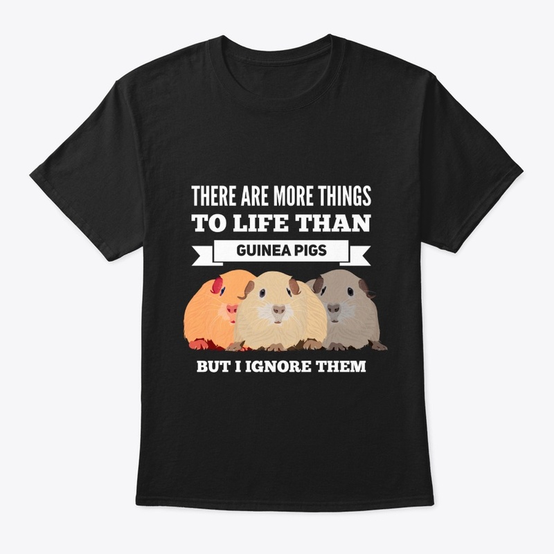 Guinea Pig Cute Funny More To Life